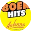 Logo Antenne Vorarlberg Die 80er Hits