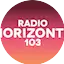 Logo Radio Horizonte