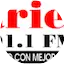 Logo Aries FM