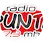 Logo Radio La Punta
