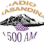 Logo Radio Trasandina