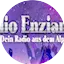 Logo Radio Enzian