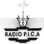 Logo Radio Pica