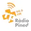 Logo Radio Pineda