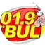 Logo 101.9 FM the Bull