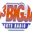 Logo The Big Jab - WRED
