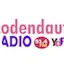 Ycoden Daute Radio FM 91.4