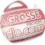 Logo La Grosse Radio Rock