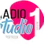 Logo Radio Studio 1- FM