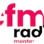 Logo CFM Montauban