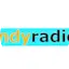 Logo Indy Radio