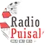 Logo Radio Puisaleine FM