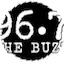 Logo 96.7 The Buzz - WSUB-LP