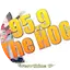 Logo 95.9 The Hog