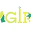 Logo Ghana Islamic Radio