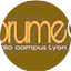 Logo Radio Brume