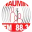 Logo Radio Waumini
