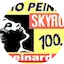 Logo Radio Peinard Skyrock