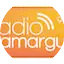 Logo Radio Camargue