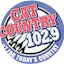Logo Cat Country