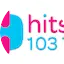 Logo HITS Chih