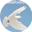 Logo Nuestra Radio Cristiana