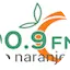 Logo Radio Naranjera