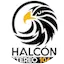 Logo Halcon Stereo