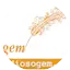 Logo Radio Sogem