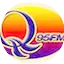 Logo Wice QFM