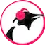 Logo Pinguin Groove