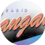 Logo Radio Sangam