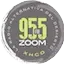 Logo Zoom95