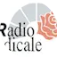 Logo Radio Radicale