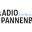 Logo Radio Spannenburg
