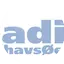 Logo Radio SydhavsØerne
