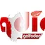 Logo Radio Golfo degli Angeli