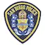 Logo San Diego Scanners: 3