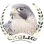 Logo Radio Sokolica