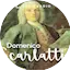 Logo Calm Radio Domenico Scarlatti