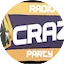 Logo Radio-crazy PARTY