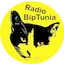 Logo Radio BipTunia