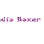 Logo Radio Boxer Fm