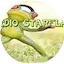 Logo Radiostar Flair