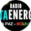 Logo Radio Alta Energía