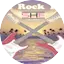 Logo Classic Rock Florida