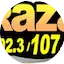 Logo La Raza