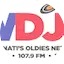 Logo Oldies 1480