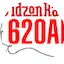Logo Davidzon Radio