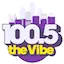 Logo The Vibe